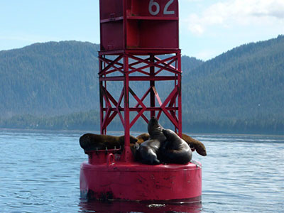 lc-bouy